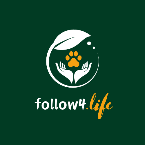 follow4.life 🐾 Videos schauen & Tierheime unterstützen! Soziales Engagement neu gedacht.